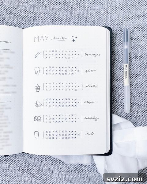 Bullet Journal Habit Tracker for Goals