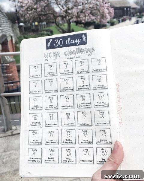 Bullet Journal 30 Day Challenge