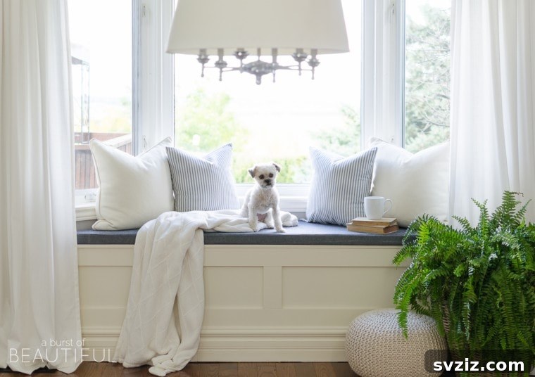 Window Seat