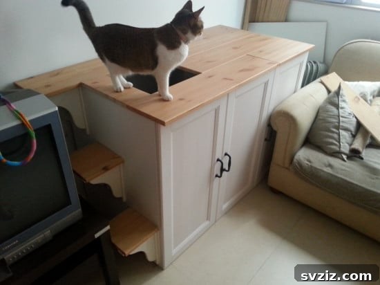 IKEA Upgrades Your Cat Will Purr For 12 IKEA METOD Litter Cabinet Hack