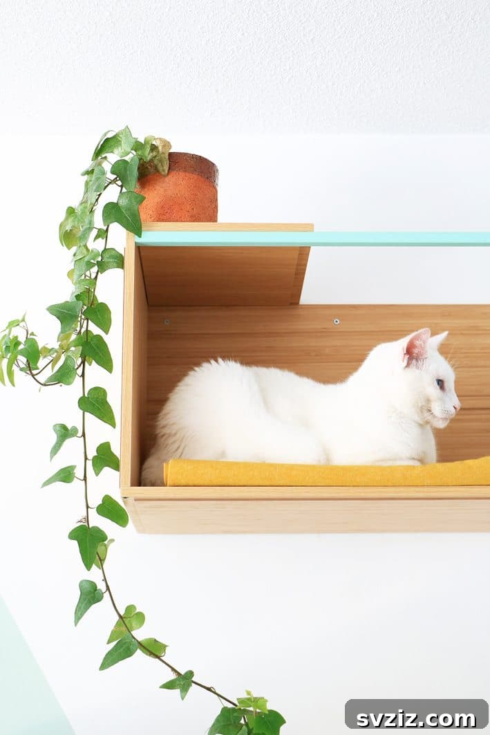 IKEA Upgrades Your Cat Will Purr For 13 Wall-Mounted Cat Shelf in Kitchen with IKEA BESTA