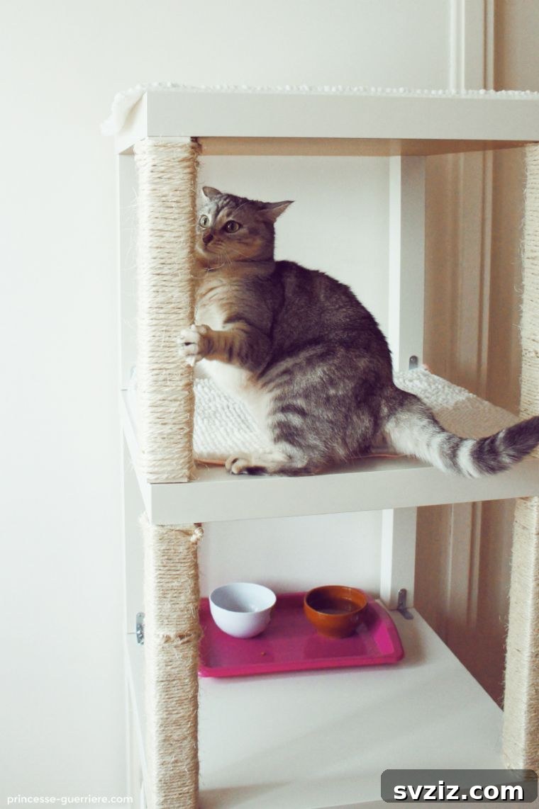 IKEA Upgrades Your Cat Will Purr For 14 Vertical Cat Lounge with IKEA Lack Tables