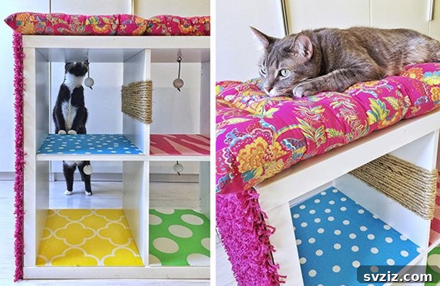 IKEA Upgrades Your Cat Will Purr For 19 DIY Multisensory Cat Gym with IKEA Kallax