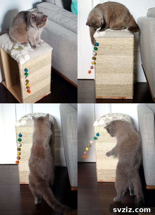 IKEA Upgrades Your Cat Will Purr For 20 DIY Couch-Side Cat Scratcher with IKEA Base