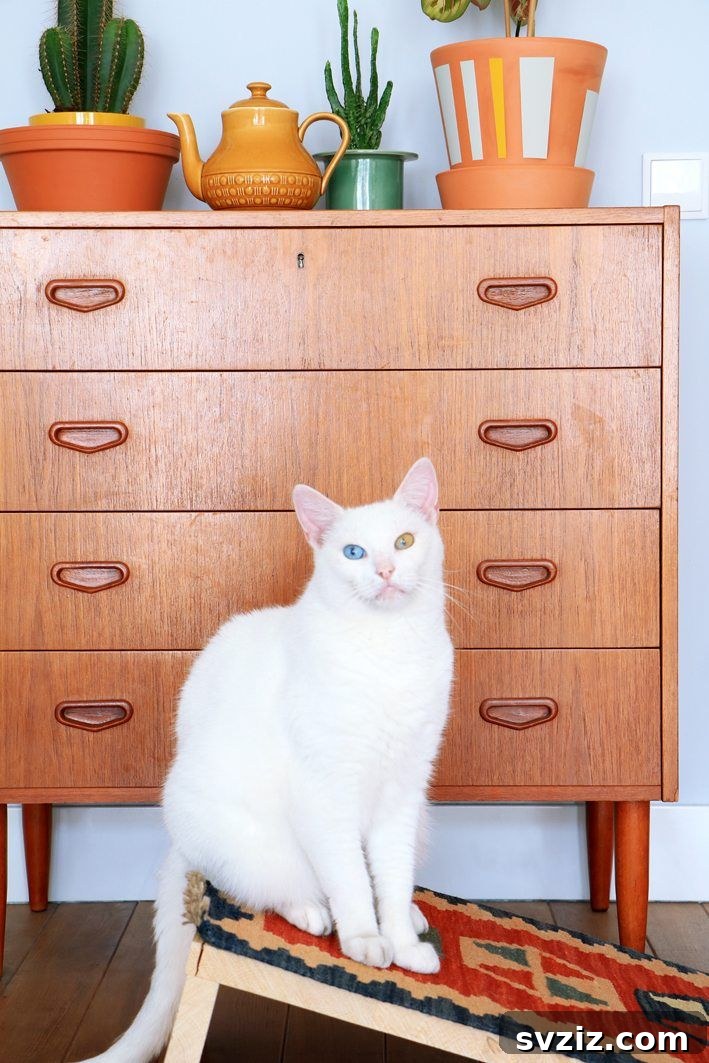 IKEA Upgrades Your Cat Will Purr For 8 DIY Cat Scratching Platform with IKEA Rug
