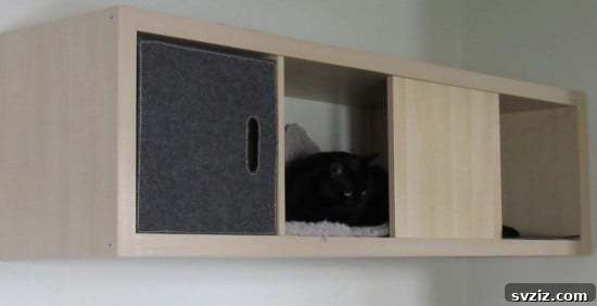 IKEA Upgrades Your Cat Will Purr For 9 IKEA Kallax Wall Mounted Cat Shelf