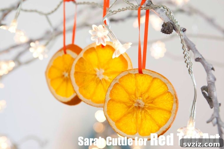 20 Festive Holiday DIYs for Teens 12 Dried Orange Slices
