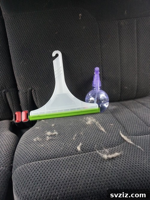 Zero-Effort Shine: 11 Lazy Car Cleaning Hacks 3 Squeegee for pet hair removal in car seats