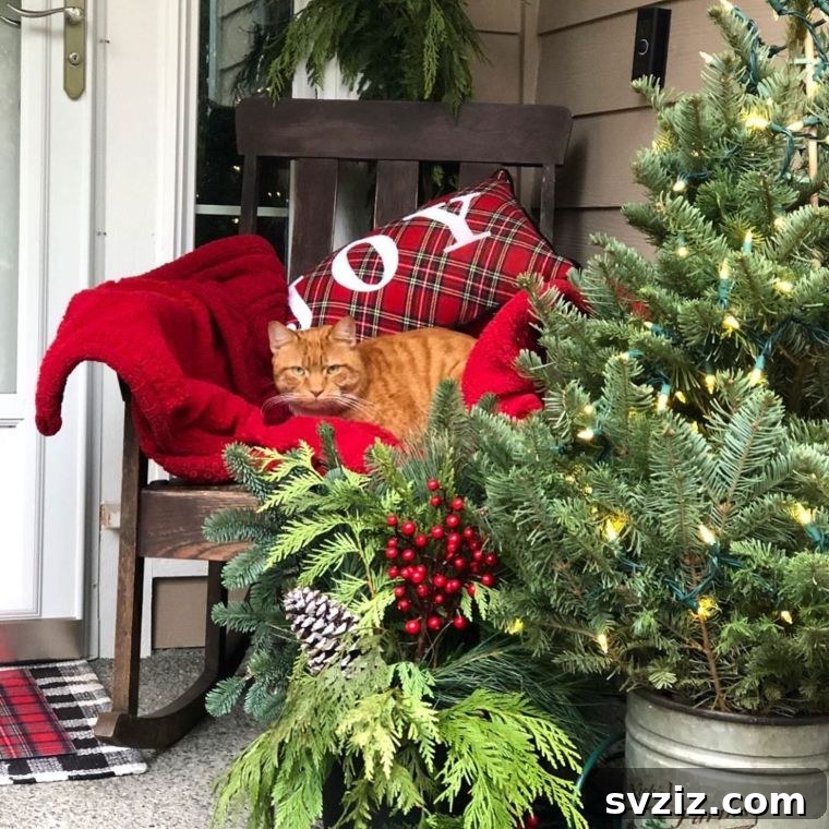 cozy porch sitting area