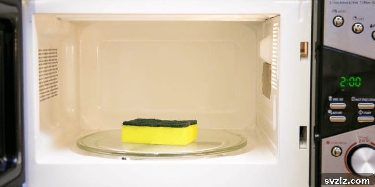 Clean Smarter Not Harder: 10 Time Saving Hacks 10 Sanitizing Sponges in the Microwave