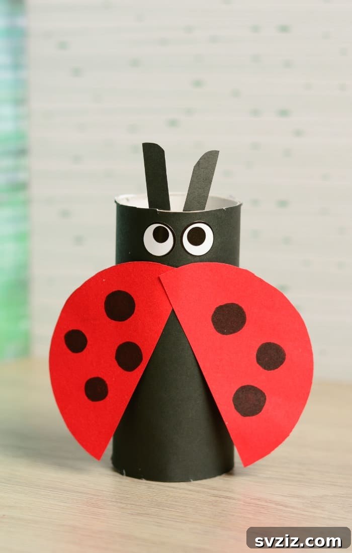 Creative Toilet Paper Roll Ladybug Craft