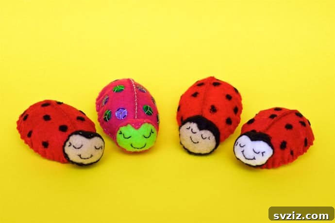 Handmade Felt Ladybug Brooch for Kids