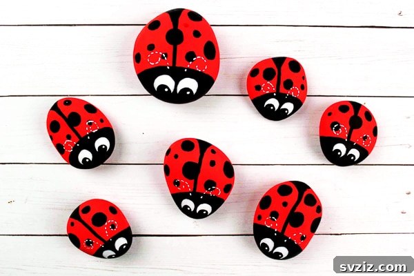 DIY Ladybug Rock Pets for Garden Decor