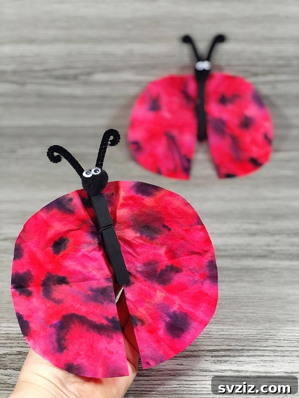 Simple Coffee Filter Ladybug Craft