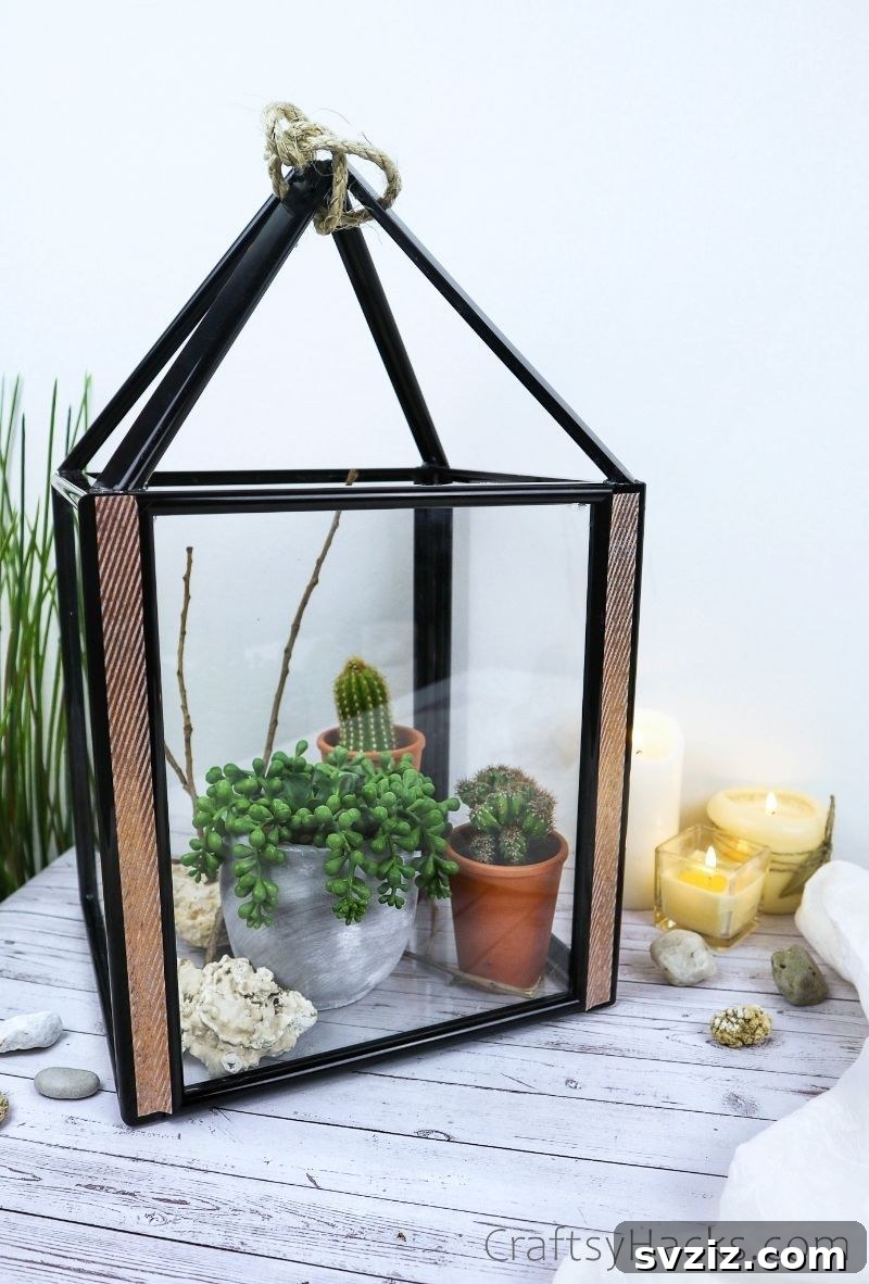 High-End Look Dollar Tree Lantern Craft 24 completed lantern with succulents
