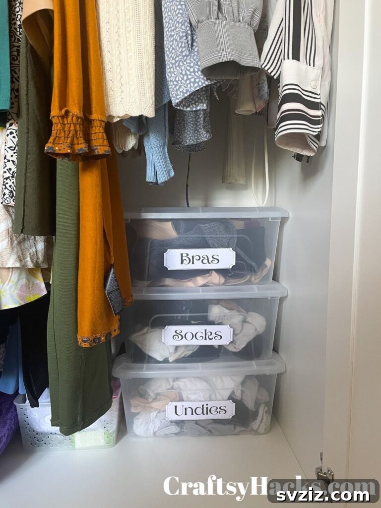Mastering Micro Spaces: 40 Small Bedroom Organization Secrets 4 Organize your small closet with labeled plastic boxes