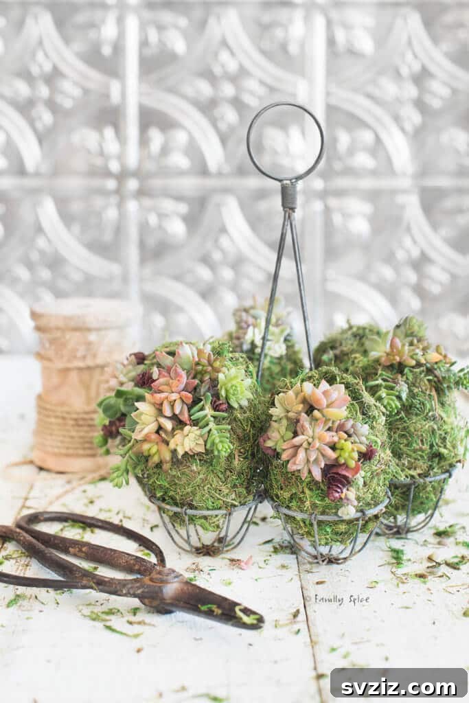 Creative Easter Projects for Adults 7 Decorative moss-covered eggs with small succulent plants, arranged in a natural setting.