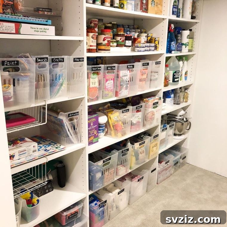 Reimagine Your Basement: Innovative Storage Solutions 19 basement pantry