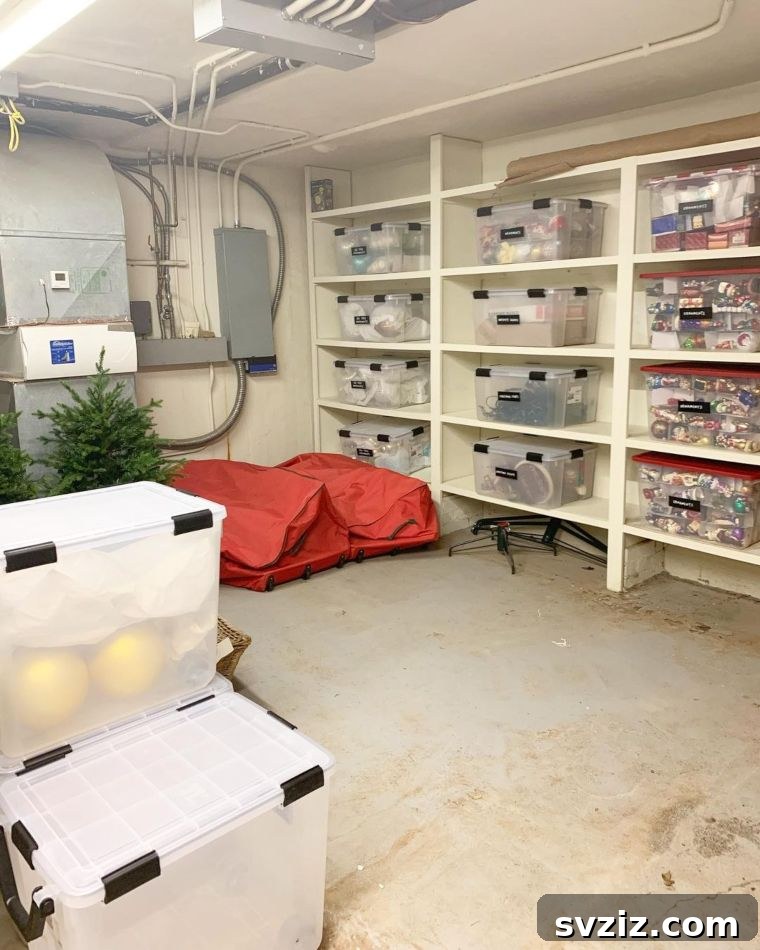 Reimagine Your Basement: Innovative Storage Solutions 7 Organized bins on shelves