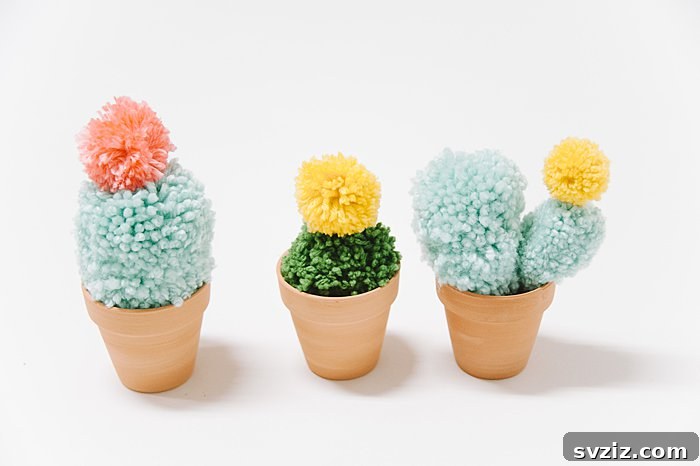 Pom-Pom Cacti