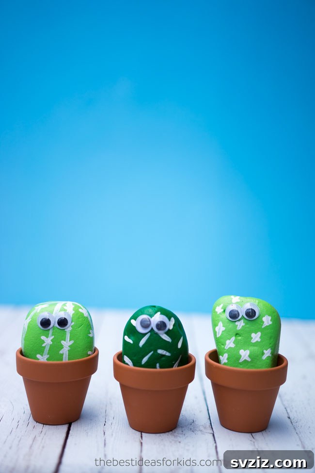 Pet Cactus Rocks