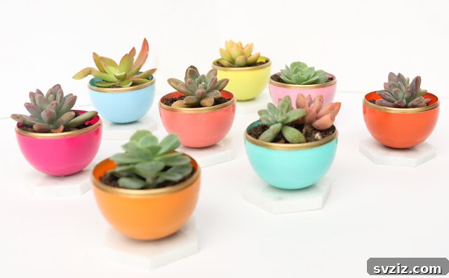 Chic Gold-Rimmed Mini Succulent Planters for Sale