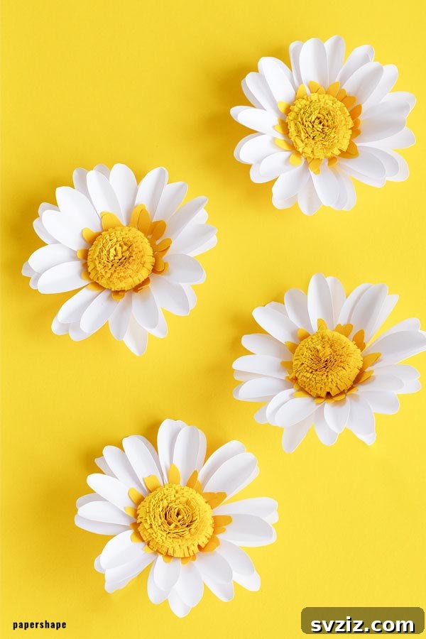 Beautiful Paper Daisies