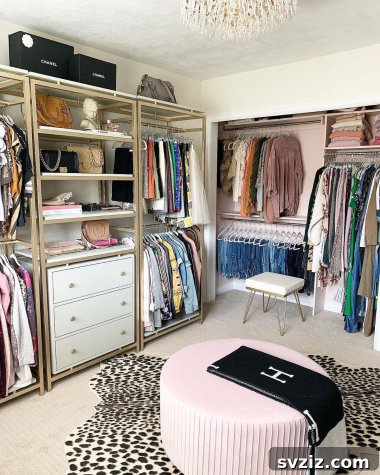 Unlock Your Closet's Potential: 23 Smart Shelving Ideas 12 Walk-In Closet