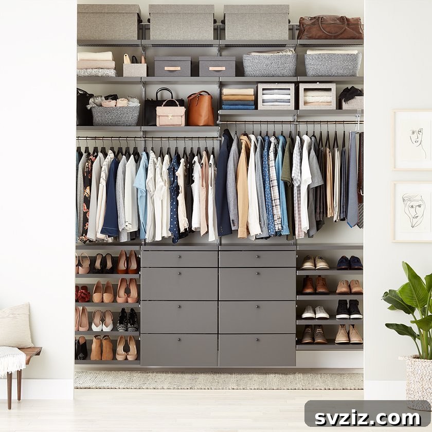 Unlock Your Closet's Potential: 23 Smart Shelving Ideas 17 Closet Wall
