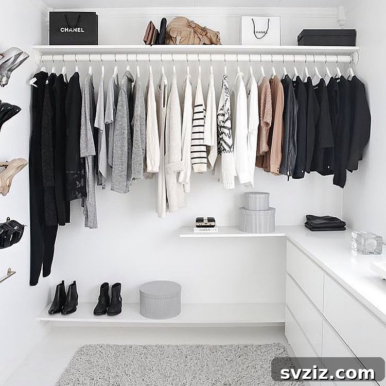 Unlock Your Closet's Potential: 23 Smart Shelving Ideas 19 Floating Closet Rail