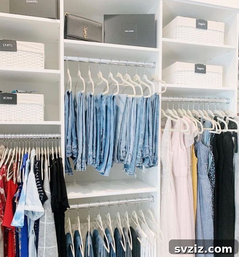 Unlock Your Closet's Potential: 23 Smart Shelving Ideas 21 Storage Bins
