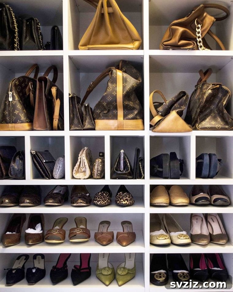 Unlock Your Closet's Potential: 23 Smart Shelving Ideas 7 Purse and Shoe Accessory Storage