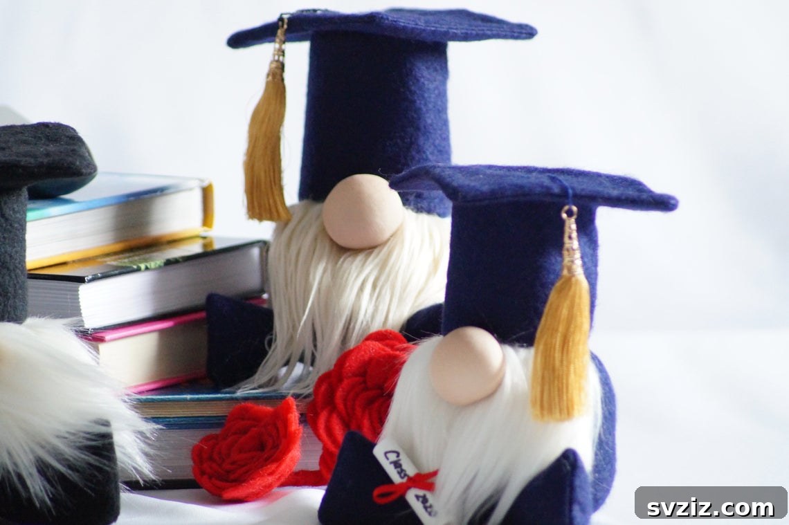 graduation gnome