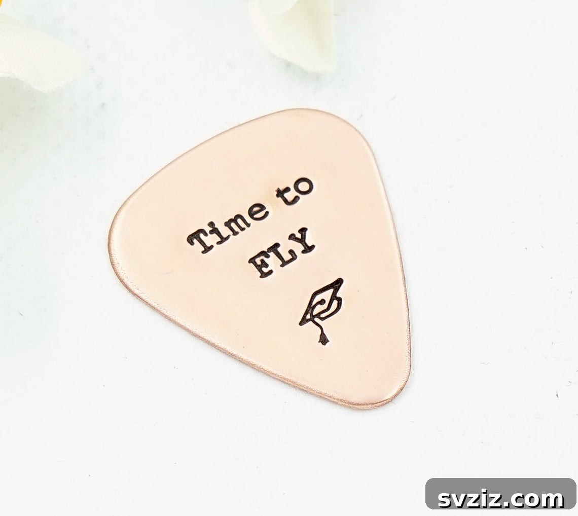 guitar gift