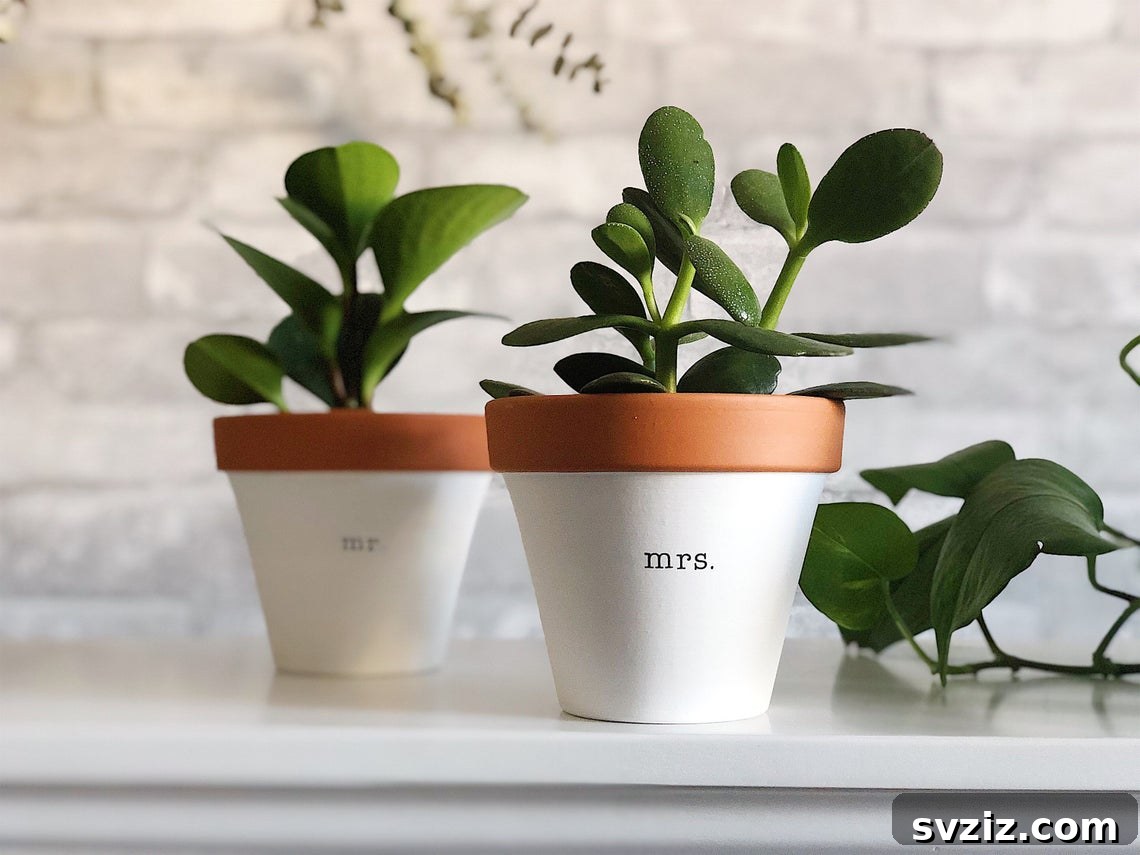 27 Brilliant Wedding Gift Ideas for Newlyweds 7 mr and mrs planters