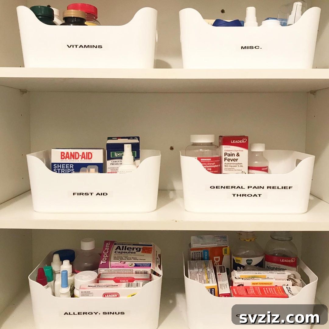 47 Brilliant Organization Solutions 5 Medicine cabinet organizer