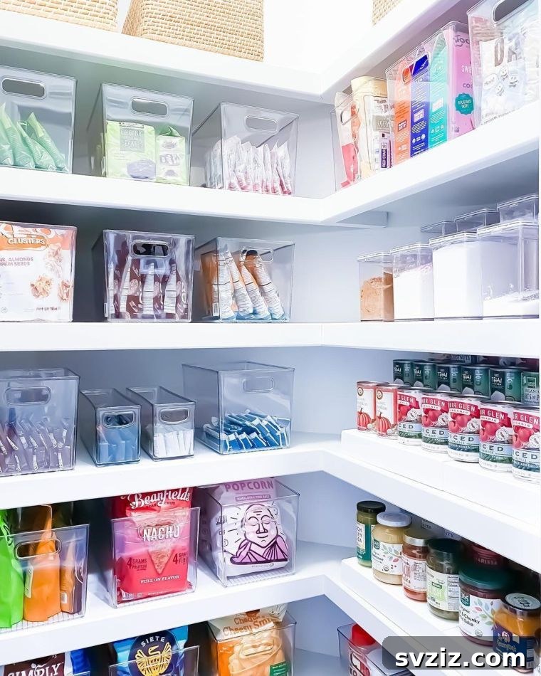 47 Brilliant Organization Solutions 8 Pantry Organizer