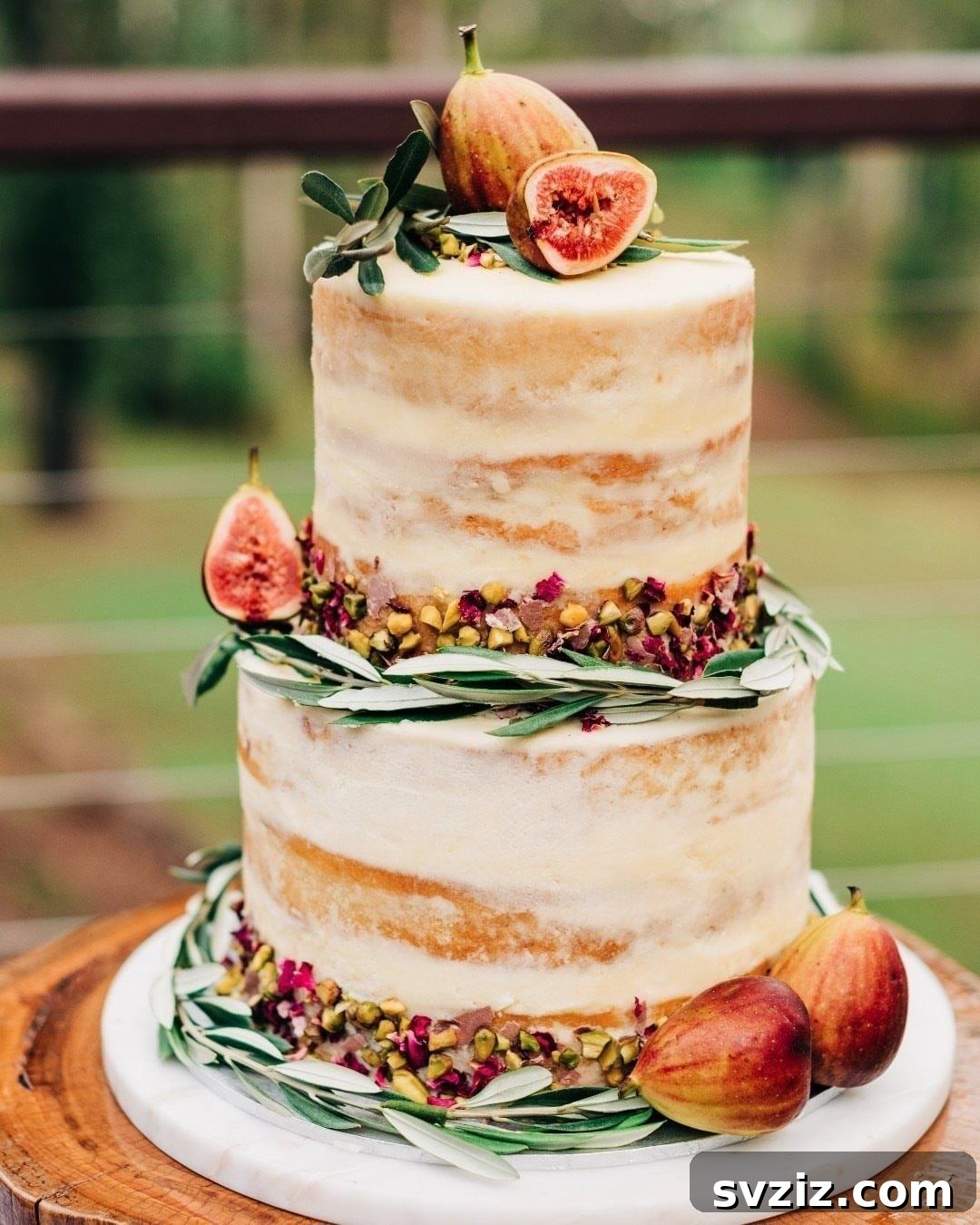 fruity fig cake