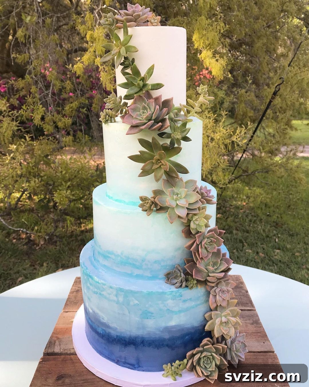 Succulent