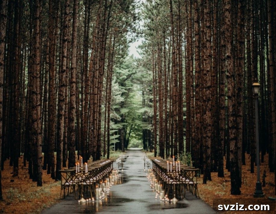 Woodland Wedding Ceremony