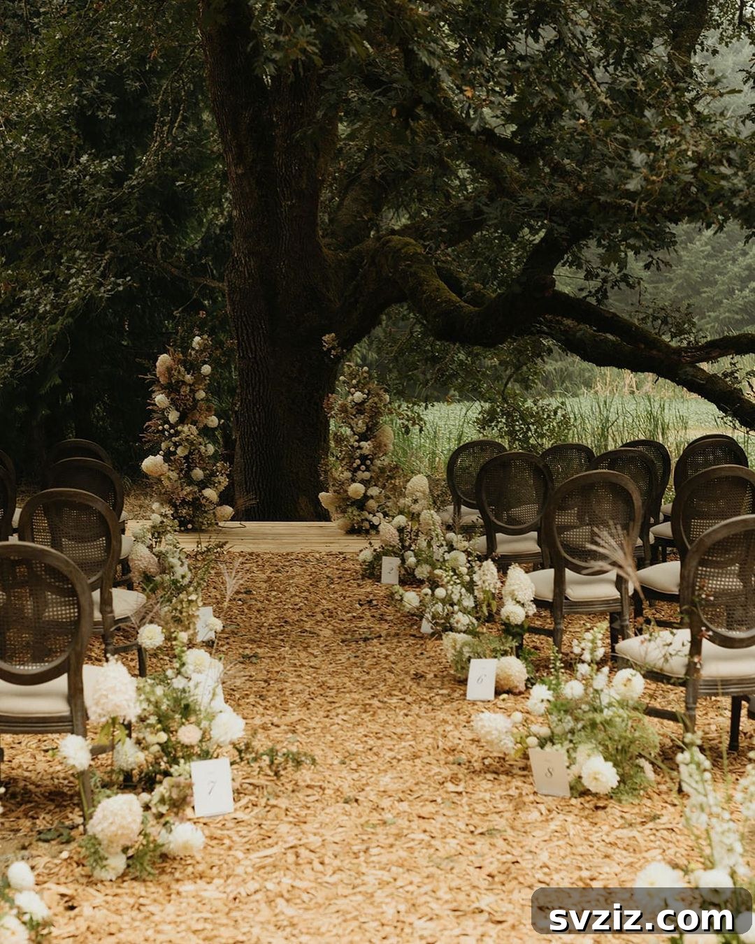 forest ceremony