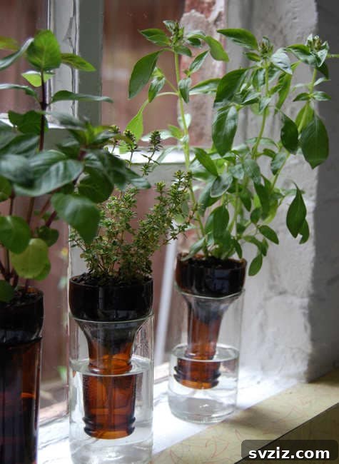 37 Ultimate Crafts for Men 22 Bottle Gardens
