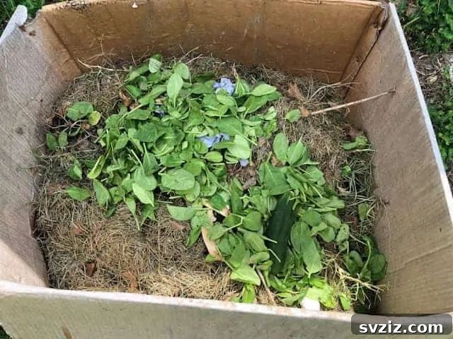 37 Brilliant Beginner-Friendly Compost Bin Builds 17 Cardboard Box Compost Bin