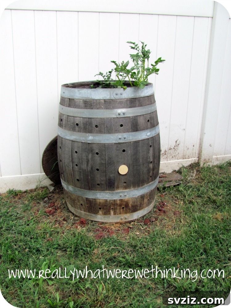 37 Brilliant Beginner-Friendly Compost Bin Builds 22 Lazy Composting
