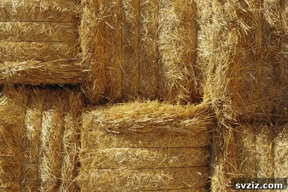 37 Brilliant Beginner-Friendly Compost Bin Builds 30 Straw Bale Compost Bin