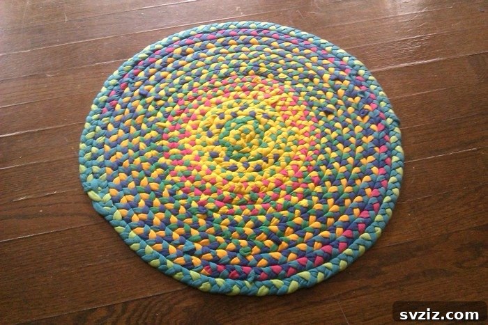 DIY Rug From T-Shirt Strips