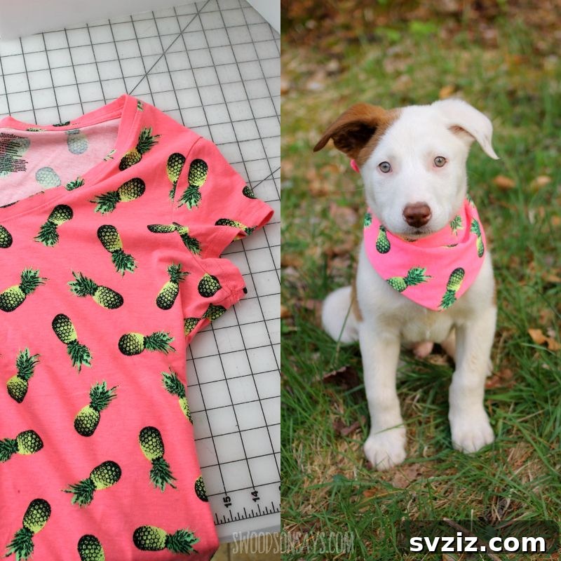 DIY Bandanna For Dogs